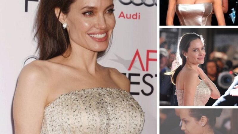 Angelina Jolie’s Versace Gown Looked Tailor-Made For Her….