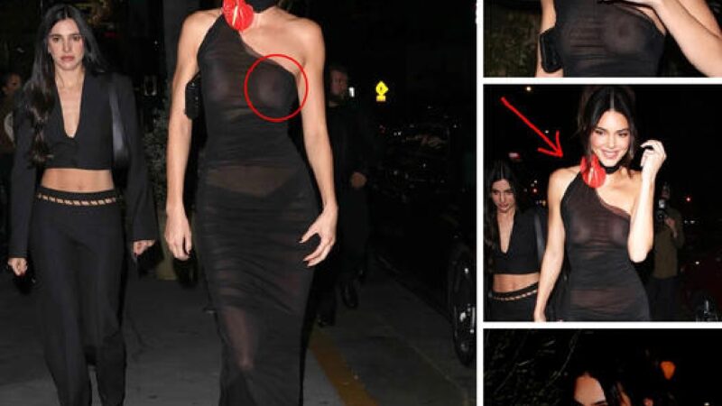 Kendall Jenner Went Braless Underneath an Ultra-Sheer LBD…..